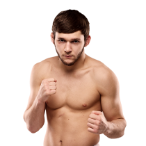 fighter