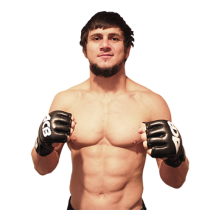 fighter
